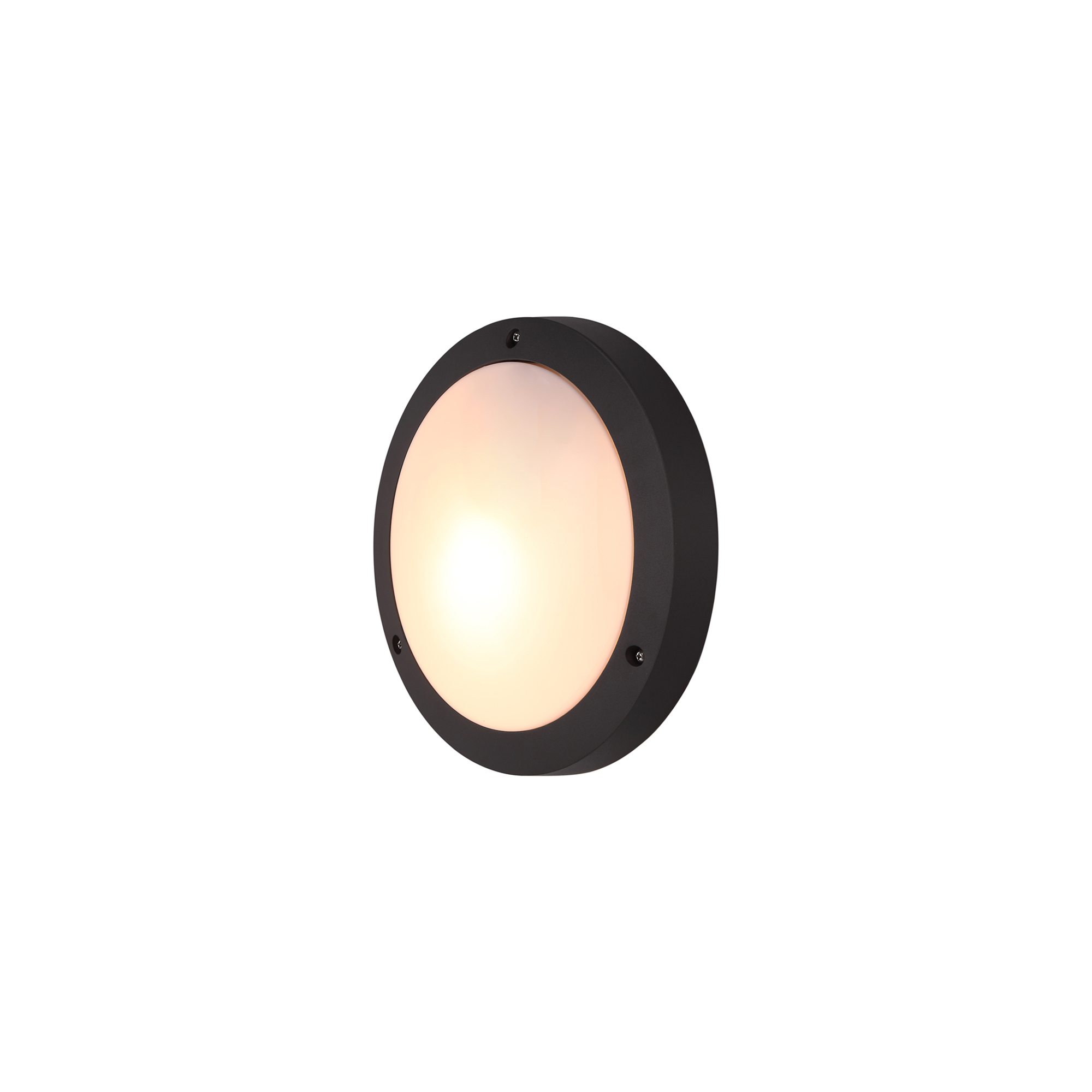 D0465  Daru Plain Wall Lamp 1 Light IP54 Anthracite